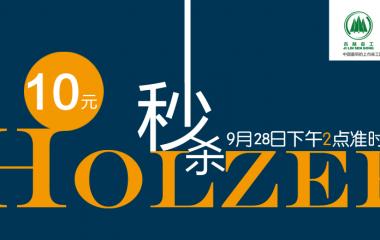 霍尔茨T型门十元秒杀第二期  点燃市民消费热情